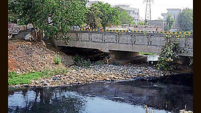 Ludhiana MC superintending engineer Ravinder Garg assured that steps would be taken to address the issue. (HT File)
