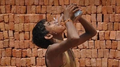 On Saturday, maximum temperatures were in the range of 43-46°C in most places (Representative Photo) On Saturday, maximum temperatures were in the range of 43-46°C in most places (Representative Photo)