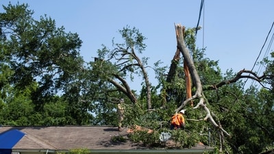 Crane operators secure a line around the largest part of a tree that fell on a home after the severe storm caused widespread damage in Houston, Texas, U.S. (REUTERS)