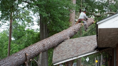 A landscaper saws a fallen tree into smaller pieces while cleaning debris after a severe storm caused widespread damage in Houston, Texas, U.S. (REUTERS)