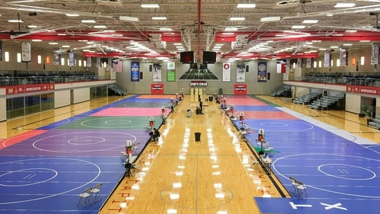 Representational image of wrestling arena