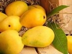 FSSAI, top food regulator in India, recently urged traders and food business operators not to use the banned product ‘calcium carbide’ for ripening of fruits. FSSAI, top food regulator in India, recently urged traders and food business operators not to use the banned product ‘calcium carbide’ for ripening of fruits.