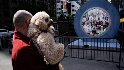 A man holds up his dog so that pedestrians in Dublin, Ireland, can see them through a livestream portal as part of an art installation on the street in New York, Tuesday, May 14, 2024. (AP Photo/Seth Wenig) (AP)