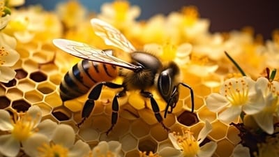World Bee Day 2024: With bee population declining considerably in Goa, concerted efforts are being made by individuals and the state government to encourage beekeeping. (Freepik) World Bee Day 2024: With bee population declining considerably in Goa, concerted efforts are being made by individuals and the state government to encourage beekeeping. (Freepik)