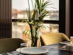 areca_palm_for_asthma