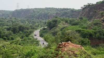 Gurugram, India-July 05, 2023: A view of Aravali Safari Park land in Garat Pur Bas village; Safari Park project which is being developed in line with the biodiversity park concept in a 10,000-acre land parcel in the Aravalli region in Gurugram and Nuh Districts, in Gurugram, India, on Wednesday, 05 July 2023. (Photo by Parveen Kumar/Hindustan Times)