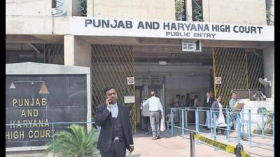 The bench of justice Rajbir Sehrawat, while posting the matter for July 3, asked the developer Jarnail Singh Bajwa to personally be present and submit his response. (HT file photo for representation)