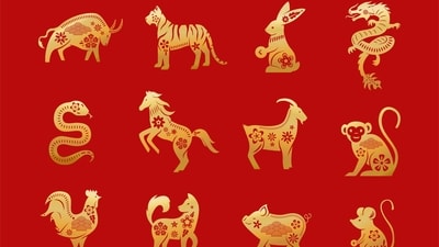 Weekly Chinese Horoscope from May 20-27, 2024. (Freepik) Weekly Chinese Horoscope from May 20-27, 2024. (Freepik)