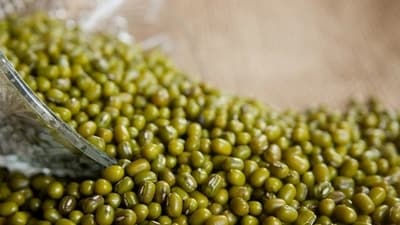 2. Boiled moong serves as the best source of vegan protein. It reduces inflammation, is high in iodine and fibre. (Pixabay) 2. Boiled moong serves as the best source of vegan protein. It reduces inflammation, is high in iodine and fibre. (Pixabay)