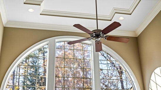 Top quality fans at great deals and discounts at Amazon summer deals: May 2024 (Pexels)