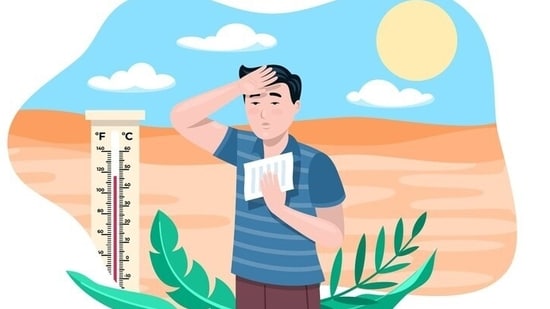 Severe heatwave in Delhi: One must avoid bingeing on high-calorie and spicy foods that may be heat the body further and cause digestive distress. (Freepik)