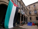 Diplomatic pressure on Israel has grown as the battle with Hamas stretches into its eighth month. (Reuters)