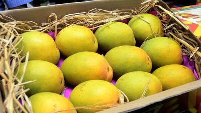 Indians, rich and poor, loved mangoes. But the newly formed educated middle-class in Poona was quick to abandon the local varieties and soon learned to love the Alphonso. (REPRESENTATIVE PHOTO) Indians, rich and poor, loved mangoes. But the newly formed educated middle-class in Poona was quick to abandon the local varieties and soon learned to love the Alphonso. (REPRESENTATIVE PHOTO)