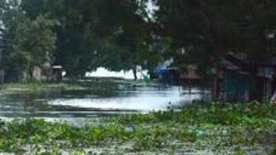 With the help of some locals, the bodies of the five victims were later fished out and sent to Igatpuri rural hospital, said the official. (REPRESENTATIVE PHOTO)