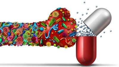 Our gut bacteria are essential for digestion, immunity, and overall health. Reducing these populations with antibiotics can significantly impair our gut health, leading to digestive issues, weakened immunity, and more. Our gut bacteria are essential for digestion, immunity, and overall health. Reducing these populations with antibiotics can significantly impair our gut health, leading to digestive issues, weakened immunity, and more. 