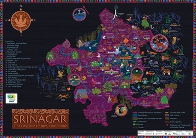 Srinagar Natural Asset Map ( ICLEI South Asia) Srinagar Natural Asset Map ( ICLEI South Asia)