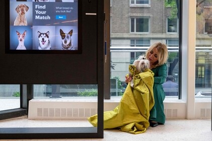 Suki, a Chinese Crested dressed as US television personality Gayle King, sits with her owner during the "The Pet Gala". (AFP) Suki, a Chinese Crested dressed as US television personality Gayle King, sits with her owner during the "The Pet Gala". (AFP)