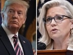 Liz Cheney, who is the most known GOP critics of Trump, took to X on Wednesday to condemn the former president for spreading the conspiracy theory that Biden had planned to kill him, Liz Cheney, who is the most known GOP critics of Trump, took to X on Wednesday to condemn the former president for spreading the conspiracy theory that Biden had planned to kill him,