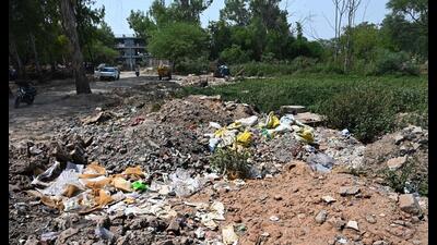 Heaps of garbage lying behind the primary government school in Hallomajra. (Keshav Singh/HT) Heaps of garbage lying behind the primary government school in Hallomajra. (Keshav Singh/HT)