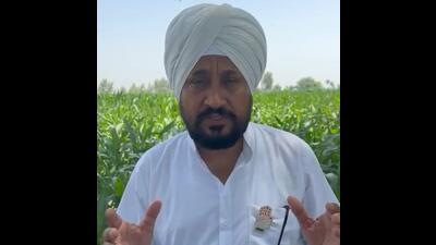 The Election Commission (on Thursday issued a strict warning to former chief minister of Punjab and Jalandhar Congress candidate Charanjeet Singh Channi for violating the model code of conduct by terming the recent terror attack on air force personnel in Poonch an election stunt of the BJP. (HT file photo) The Election Commission (on Thursday issued a strict warning to former chief minister of Punjab and Jalandhar Congress candidate Charanjeet Singh Channi for violating the model code of conduct by terming the recent terror attack on air force personnel in Poonch an election stunt of the BJP. (HT file photo)