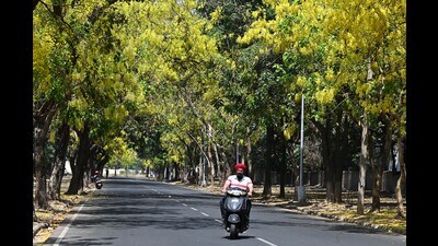 The minimum temperature rose from 31°C on Wednesday to 31.2°C on Thursday, an uncomfortable 5.7 degrees above normal. (Keshav Singh/ HT) The minimum temperature rose from 31°C on Wednesday to 31.2°C on Thursday, an uncomfortable 5.7 degrees above normal. (Keshav Singh/ HT)