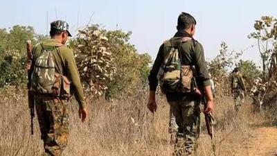 The operation is being carried out in the Abujhmaad forest at the tri-junction of Narayanpur, Bastar and Dantewada districts (Representative Photo) The operation is being carried out in the Abujhmaad forest at the tri-junction of Narayanpur, Bastar and Dantewada districts (Representative Photo)