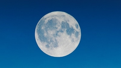 On Thursday, May 23, 2024, the Full Flower Moon in Sagittarius illuminates the cosmos, helping us elevate the collective vibration. (Unsplash) On Thursday, May 23, 2024, the Full Flower Moon in Sagittarius illuminates the cosmos, helping us elevate the collective vibration. (Unsplash)