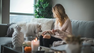 Create Shade and Ventilation: Set up shaded areas in your yard or provide indoor spaces with good ventilation for your pets to retreat from the sun and stay cool. (Unsplash) Create Shade and Ventilation: Set up shaded areas in your yard or provide indoor spaces with good ventilation for your pets to retreat from the sun and stay cool. (Unsplash)
