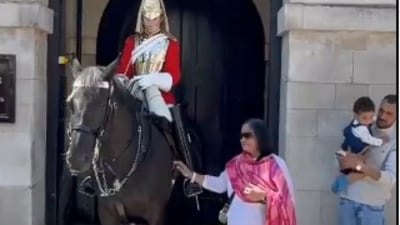 A tourist gets bitten by a King's Guard horse in the UK while posing for a photo. (X/Darren Grimes) A tourist gets bitten by a King's Guard horse in the UK while posing for a photo. (X/Darren Grimes)