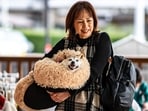 Atsuko Sato with her Japanese shiba inu dog Kabosu, Atsuko Sato with her Japanese shiba inu dog Kabosu,