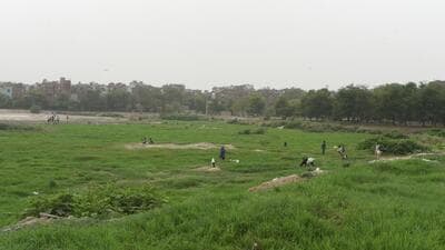 A view of the 10-acre Shahdara Lake. (HT File Photo) A view of the 10-acre Shahdara Lake. (HT File Photo)