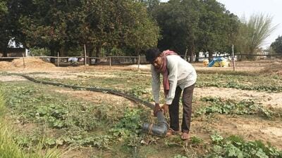 Balram Chaudhary, a farmer in Siddharthnagar, who is seeking MSP for his Kalanamak rice crop (Gaurav Saigal/HT Photo) Balram Chaudhary, a farmer in Siddharthnagar, who is seeking MSP for his Kalanamak rice crop (Gaurav Saigal/HT Photo)