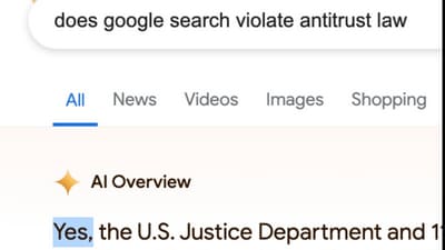 A user shared this screenshot of Google's AI overview.