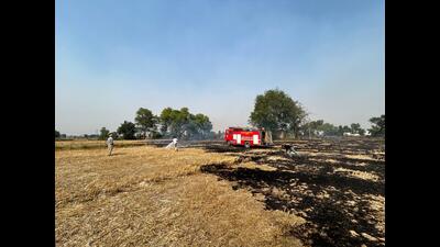 Punjab has recorded 11, 630 farm fire cases since April 15. (HT Photo) Punjab has recorded 11, 630 farm fire cases since April 15. (HT Photo)