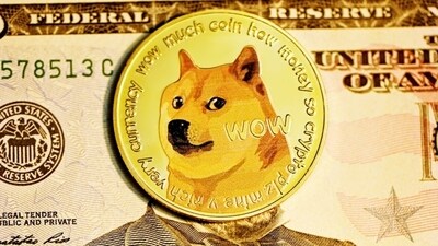 Japanese dog of 'Doge' meme fame dies (Unsplash) Japanese dog of 'Doge' meme fame dies (Unsplash)