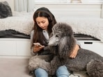 High temperatures can also cause skin conditions in dogs and they may develop mats or tangles in their fur which can trap heat and moisture and may cause skin infections. High temperatures can also cause skin conditions in dogs and they may develop mats or tangles in their fur which can trap heat and moisture and may cause skin infections.