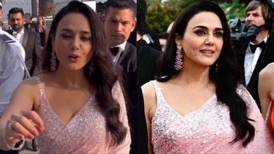 Preity Zinta wore a sare to the Cannes Film Festival.