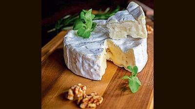 The creamy, complex cheese is known for its mushroomy notes, rich lactic flavours, and slight whiff of a flavour like sweet roasted cauliflower. (Adobe Stock) The creamy, complex cheese is known for its mushroomy notes, rich lactic flavours, and slight whiff of a flavour like sweet roasted cauliflower. (Adobe Stock)