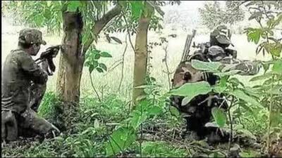 The identities of the Maoists killed in both the encounters are yet to be ascertained. (Representative Image)
