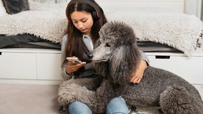 High temperatures can also cause skin conditions in dogs and they may develop mats or tangles in their fur which can trap heat and moisture and may cause skin infections. (Freepik) High temperatures can also cause skin conditions in dogs and they may develop mats or tangles in their fur which can trap heat and moisture and may cause skin infections. (Freepik)