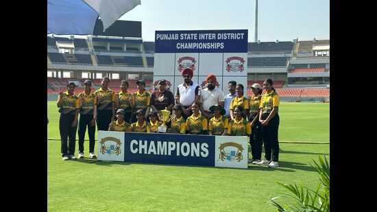 The Ludhiana team posted a total of 190 runs after losing eight wickets in 50 overs. (HT)