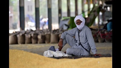 Farmer resting near his wheat bags in Ludhiana. (HT File) Farmer resting near his wheat bags in Ludhiana. (HT File)