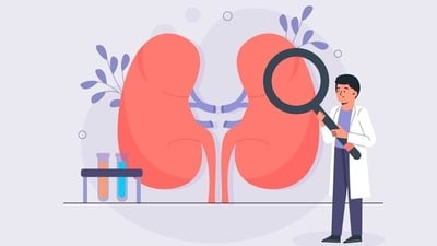 Nephrotic syndrome, defined by increased urine protein levels, is associated with kidney disorders, including membranous nephropathy (MN), primary focal segmental glomerulosclerosis (FSGS), and minimal change disease (MCD). (Freepik) Nephrotic syndrome, defined by increased urine protein levels, is associated with kidney disorders, including membranous nephropathy (MN), primary focal segmental glomerulosclerosis (FSGS), and minimal change disease (MCD). (Freepik)