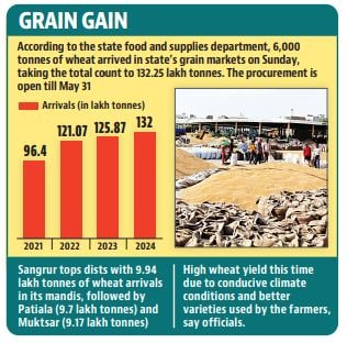 Sangrur tops the chart among districts with 9.94 lakh tonnes arrivals, followed by Patiala 9.7 lakh tonnes, Muktsar 9.17 lakh tonnes, Bathinda 9.1 lakh tonnes and Ferozpur 8.64 lakh tonnes. (HT) Sangrur tops the chart among districts with 9.94 lakh tonnes arrivals, followed by Patiala 9.7 lakh tonnes, Muktsar 9.17 lakh tonnes, Bathinda 9.1 lakh tonnes and Ferozpur 8.64 lakh tonnes. (HT)
