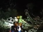 On Sunday, as storms shifted to the northeast, unleashing more extreme weather across the U.S. heartland, a landscaper was killed by a tree toppled in winds that gusted to 80 miles per hour in Louisville, Kentucky, police said. On Sunday, as storms shifted to the northeast, unleashing more extreme weather across the U.S. heartland, a landscaper was killed by a tree toppled in winds that gusted to 80 miles per hour in Louisville, Kentucky, police said.