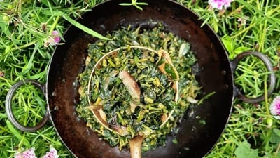 Punarnava: Punarnava is known for its rejuvenating properties and is beneficial in increasing hemoglobin levels. (HT gallery) Punarnava: Punarnava is known for its rejuvenating properties and is beneficial in increasing hemoglobin levels. (HT gallery)