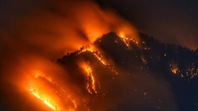 A total of 627 incidents of forest fires have been recorded in Himachal since April. (HT Photo) A total of 627 incidents of forest fires have been recorded in Himachal since April. (HT Photo)