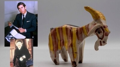 According to Hansons Auctioneers experts, the goat will be sold at higher prices due to its rareness. (X@HansonsUK) According to Hansons Auctioneers experts, the goat will be sold at higher prices due to its rareness. (X@HansonsUK)