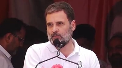 Congress leader Rahul Gandhi (ANI) Congress leader Rahul Gandhi (ANI)