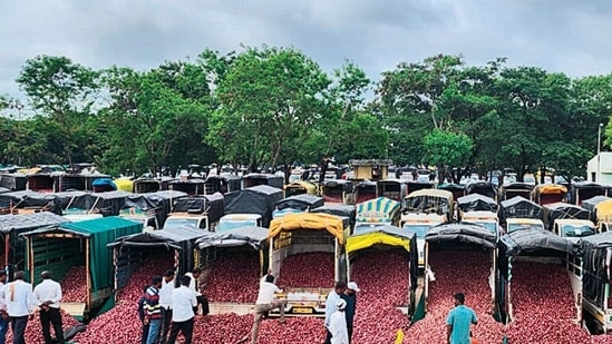 Despite lifting of export ban, woes of onion farmers far from over